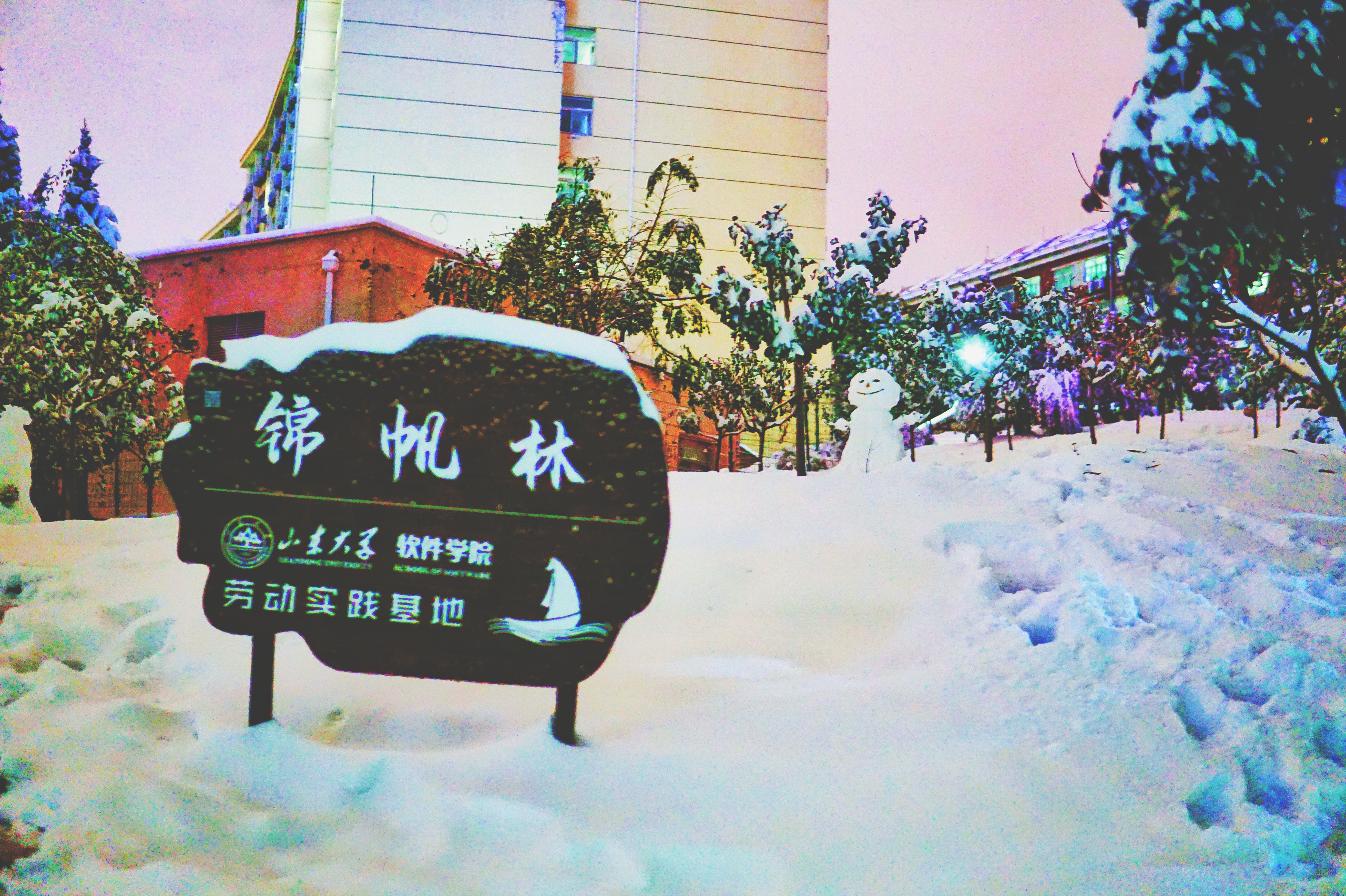 wedvictor伟德,伟德官网