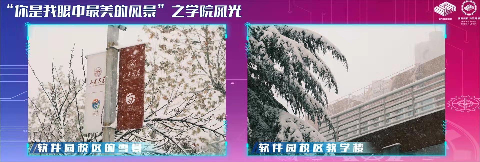 wedvictor伟德,伟德官网