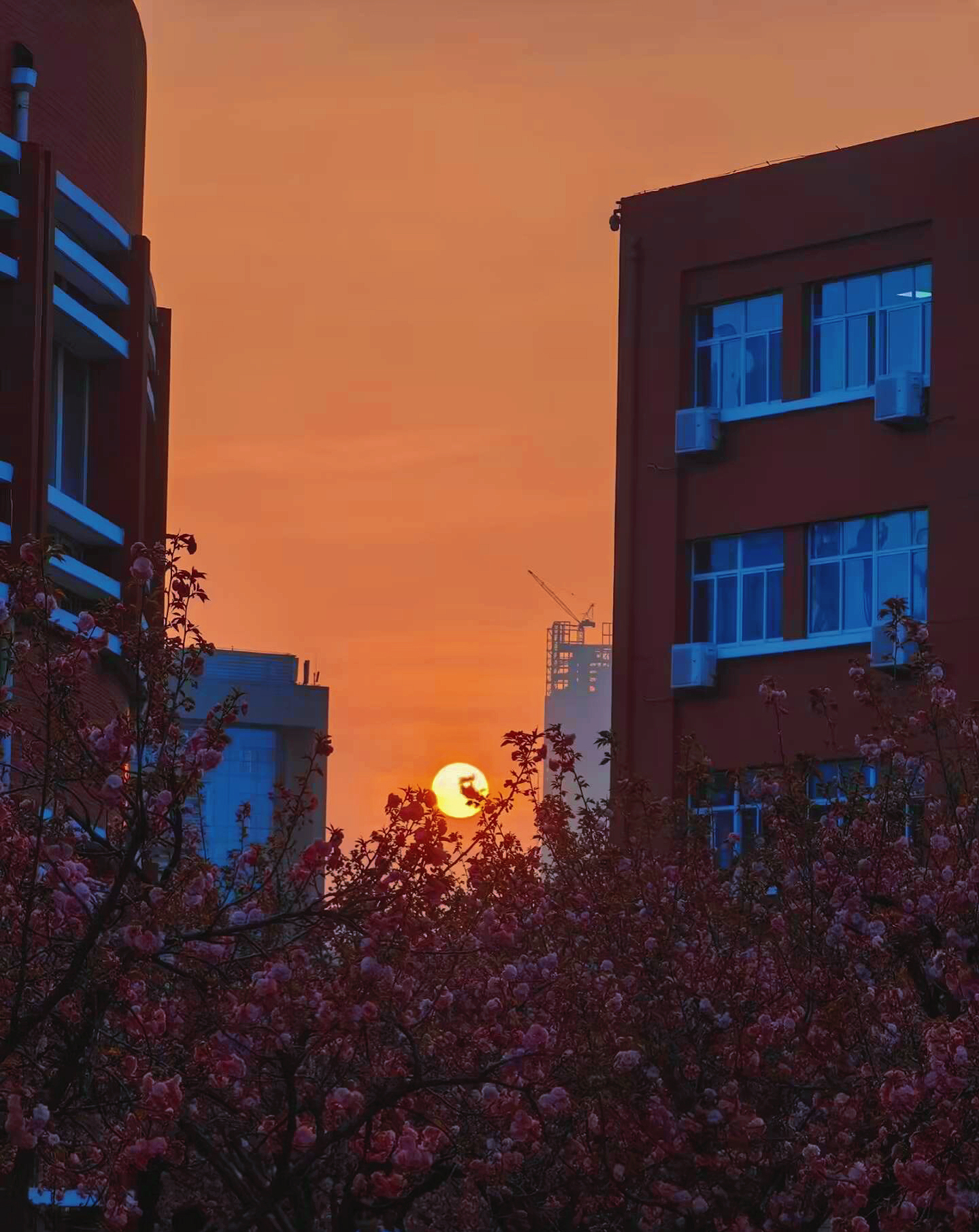 wedvictor伟德,伟德官网