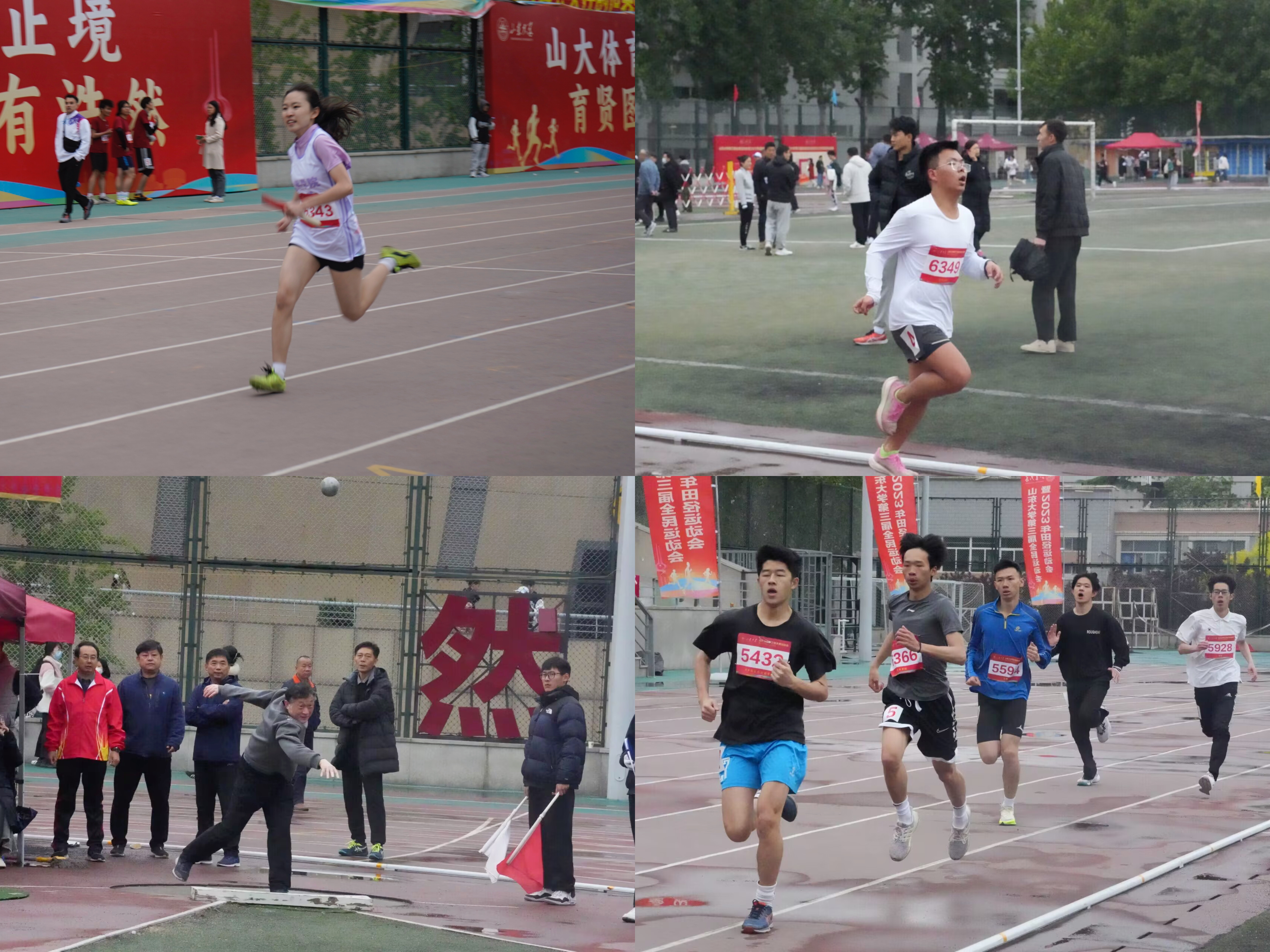 wedvictor伟德,伟德官网