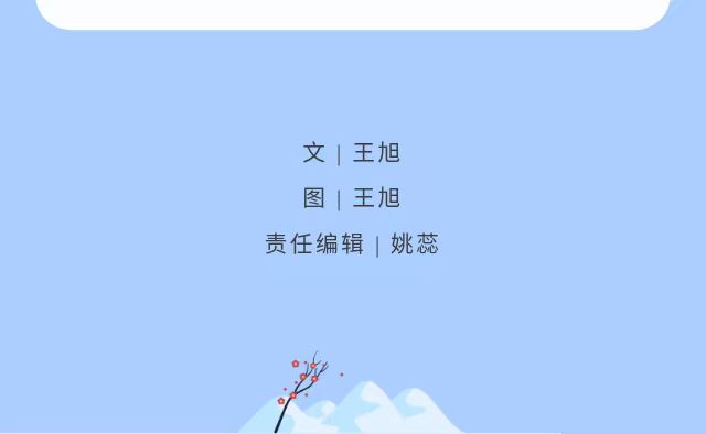wedvictor伟德,伟德官网