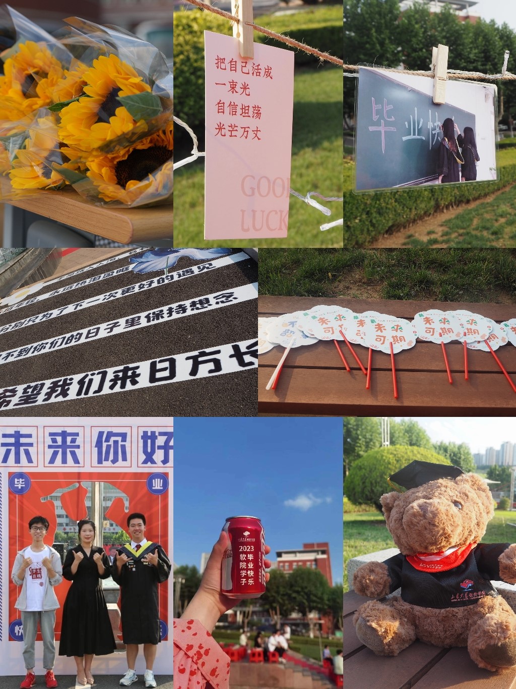 wedvictor伟德,伟德官网
