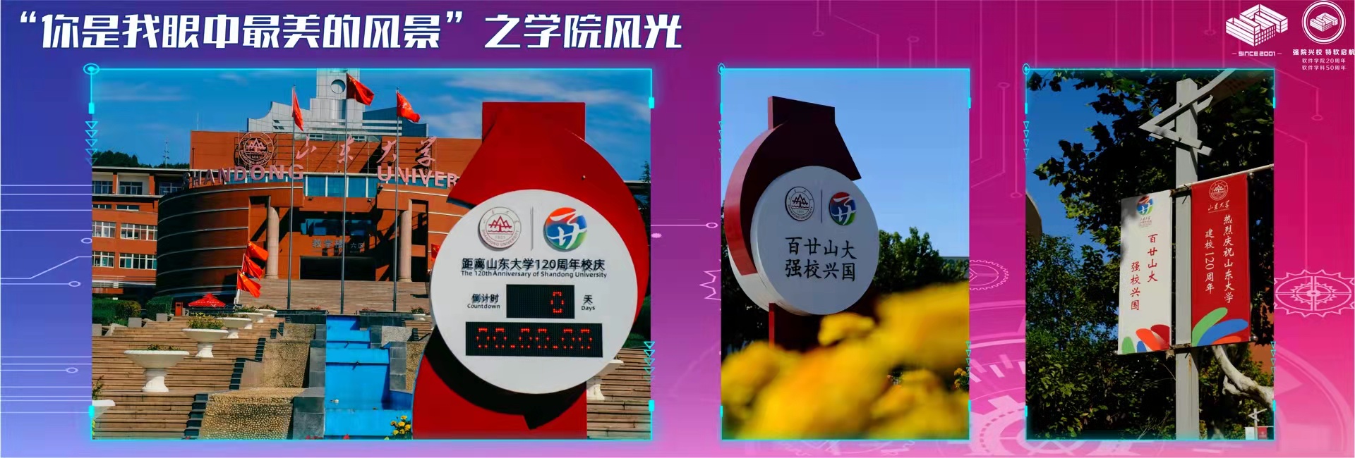 wedvictor伟德,伟德官网