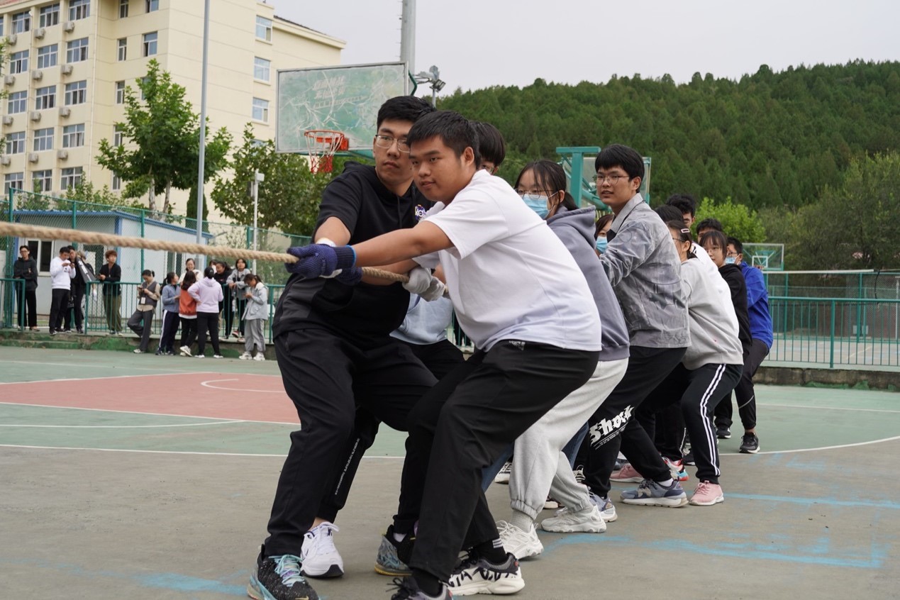 wedvictor伟德,伟德官网